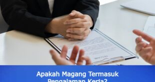 Cover Akses Info Apakah Magang Termasuk Pengalaman Kerja