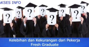 Cover Akses Info Kelebihan dan Kekurangan Pekerja Fresh Graduate