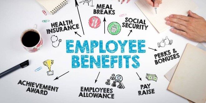 Cover Akses Info Fasilitas yang Diharapkan Fresh Graduate