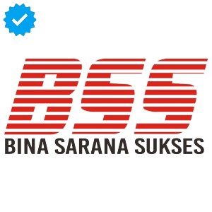 Logo BSS