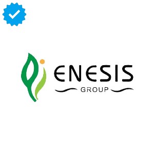 Logo Enesis Group