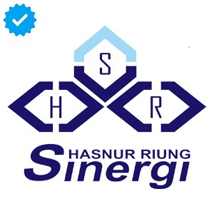 Logo Hasnur Group