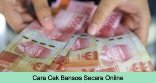 Cover Akses Info Cara Cek Bansos Online